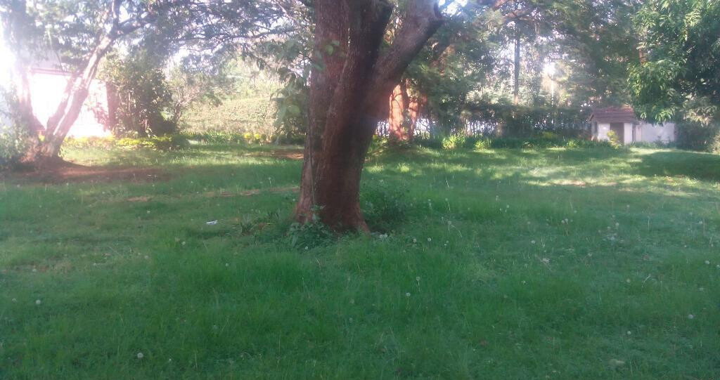 1 Acre Westlands Plot with Garden