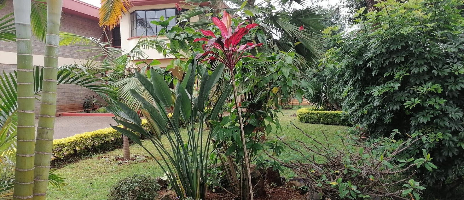 5-Ensuite Townhouse with Quarter-Acre Garden - Spring Valley