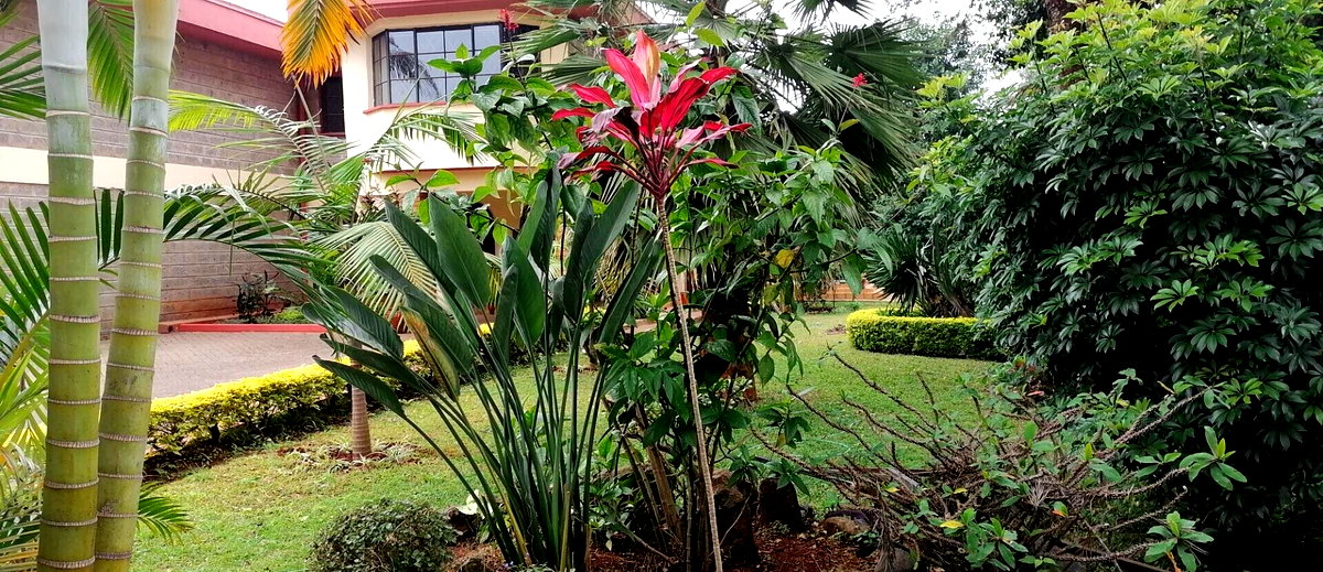 5-Ensuite Townhouse with Quarter-Acre Garden - Spring Valley