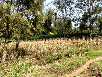 Residential Eighth Acre Plot in Ngong, Memusi. Red Soil Near Iat SCH - Image 1