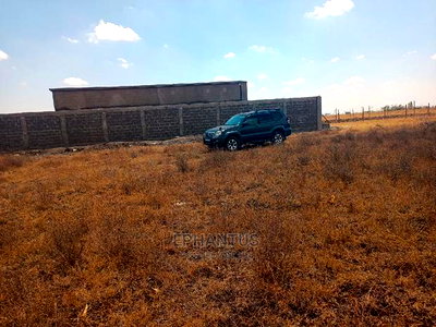 Prime Plots in Joska - Image 4