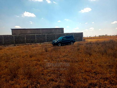 Prime Plots in Joska - Image 3