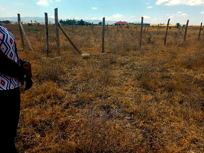 Prime Plots in Joska - Image 1