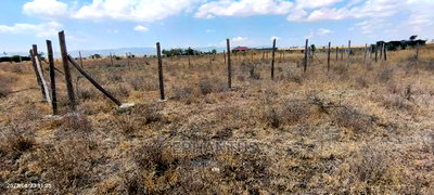 Prime Plots in Joska - Image 5