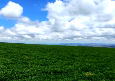 314 Acres in Timau for KSh 942M