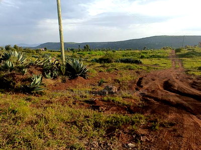 Prime 50x100 Plot of Land for Sale in Nachu Kikuyu - Image 3