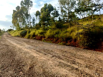 Prime 50x100 Plot of Land for Sale in Nachu Kikuyu - Image 2