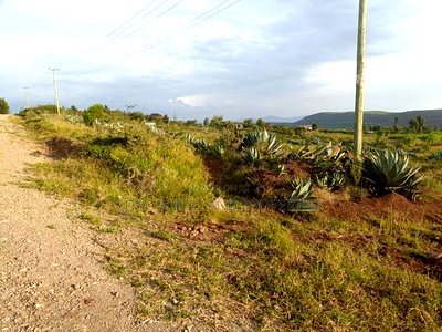 Prime 50x100 Plot of Land for Sale in Nachu Kikuyu - Image 4