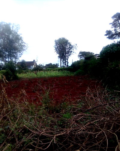 Half Acre Garden Plot in Secure Community