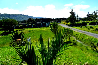 Prime Property With Clean Title - Image 2