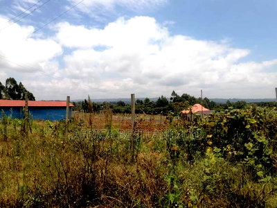 100x100 Residential Plot for Sale in Kamangu Kiambu County - Image 4