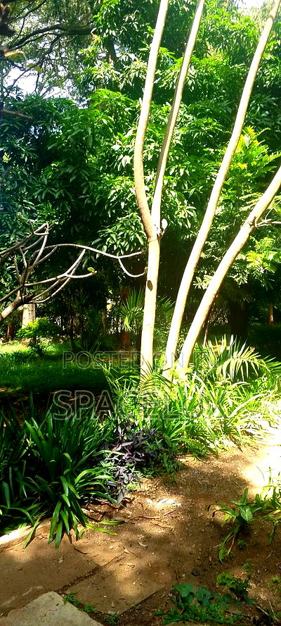 0.25 Acre Lavington Near Valley Arcade - Image 1