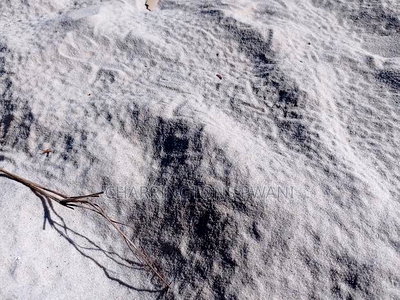 18 Acres Sandy Beach Plot Along Mwazaro Beach - Image 5