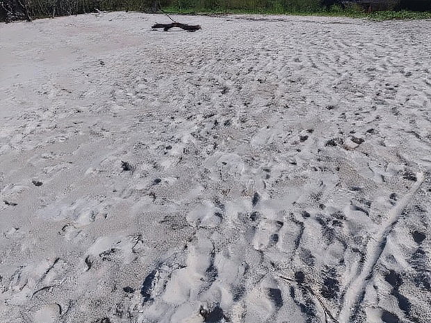 18 Acres Sandy Beach Plot Along Mwazaro Beach