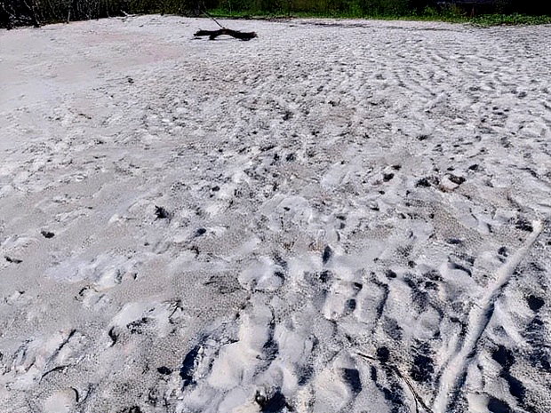 18 Acres Sandy Beach Plot Along Mwazaro Beach