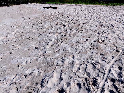 18 Acres Sandy Beach Plot Along Mwazaro Beach - Image 4