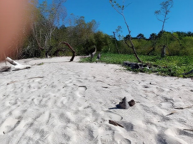 18 Acres Sandy Beach Plot Along Mwazaro Beach