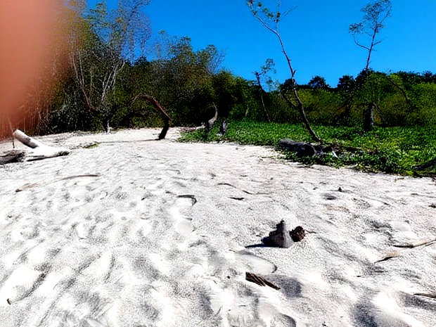 18 Acres Sandy Beach Plot Along Mwazaro Beach