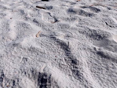 18 Acres Sandy Beach Plot Along Mwazaro Beach - Image 2