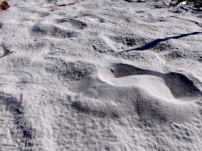 18 Acres Sandy Beach Plot Along Mwazaro Beach - Image 6