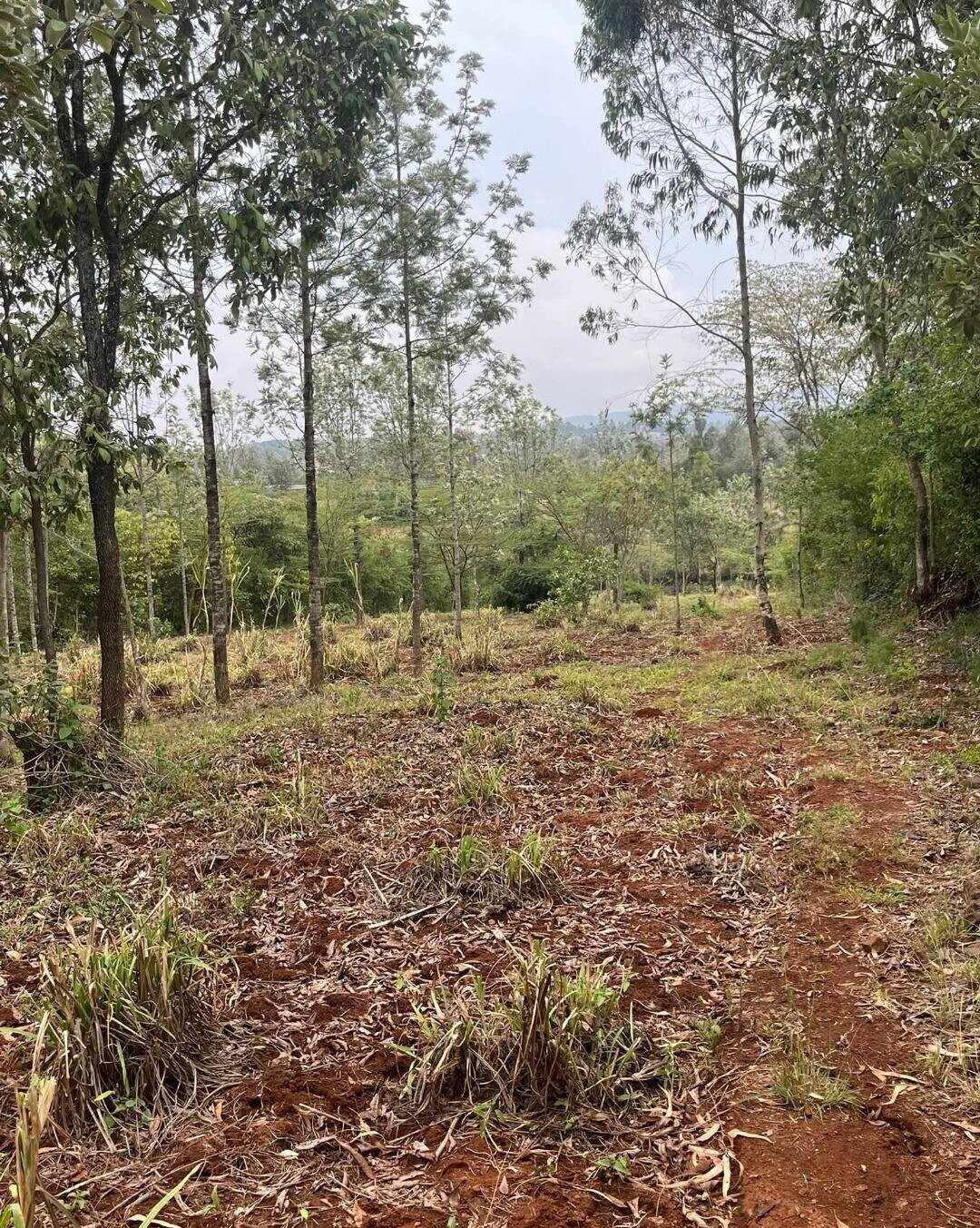 1-Acre Development Plot with Red Soil - Matasia, Ngong
