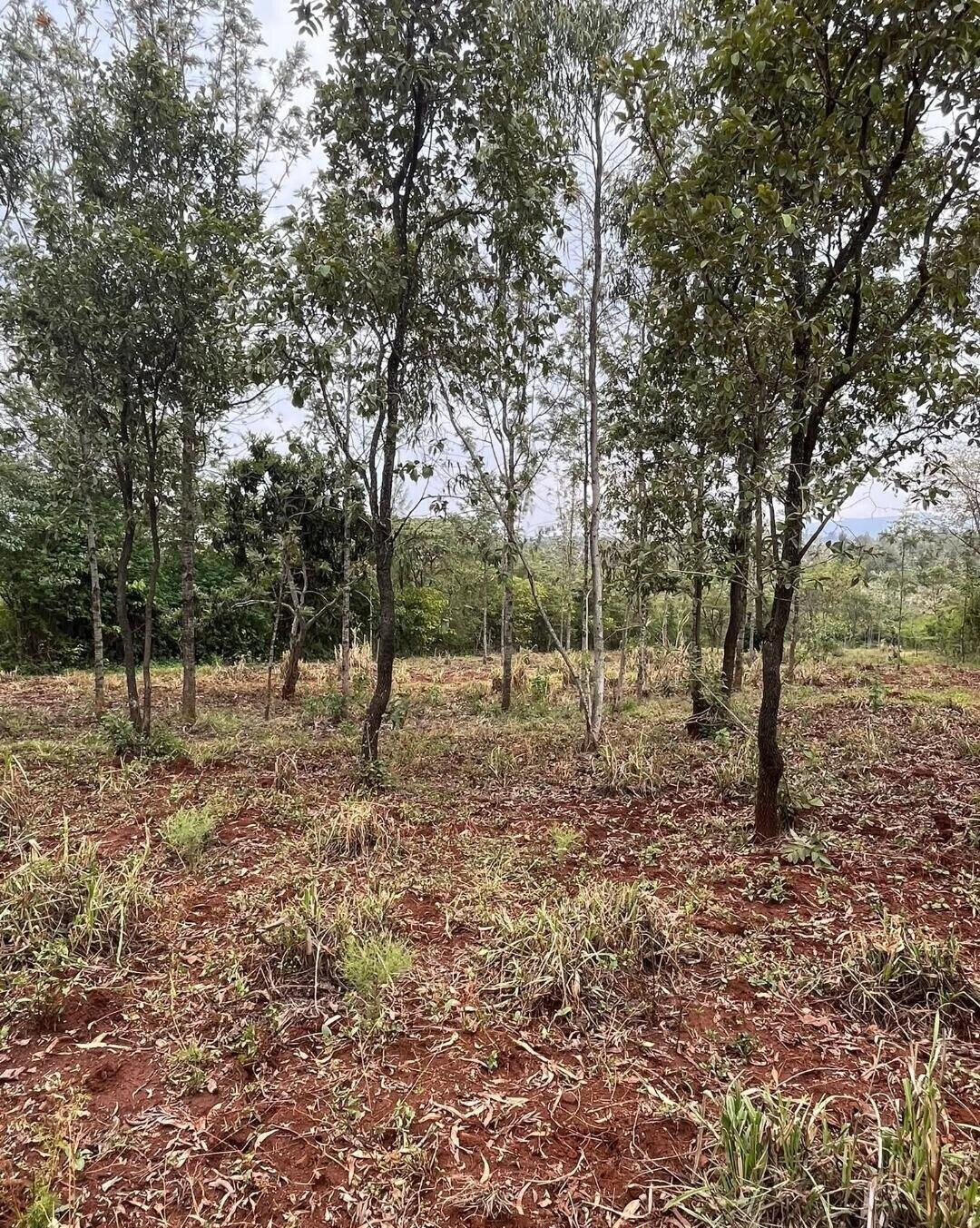 1-Acre Development Plot with Red Soil - Matasia, Ngong