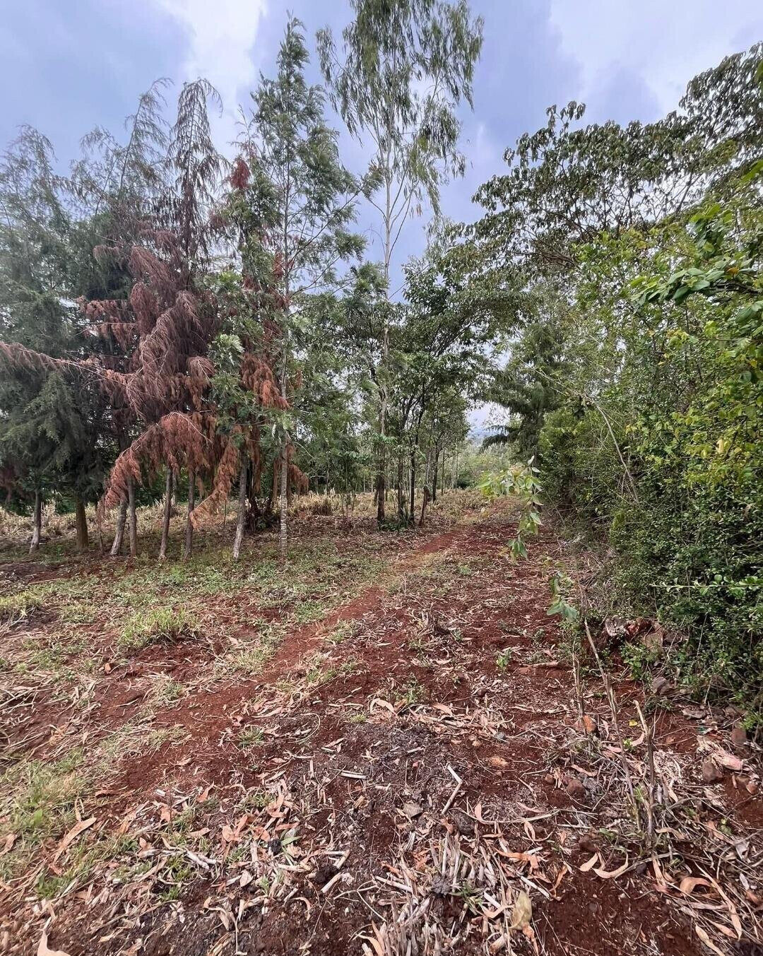 1-Acre Development Plot with Red Soil - Matasia, Ngong