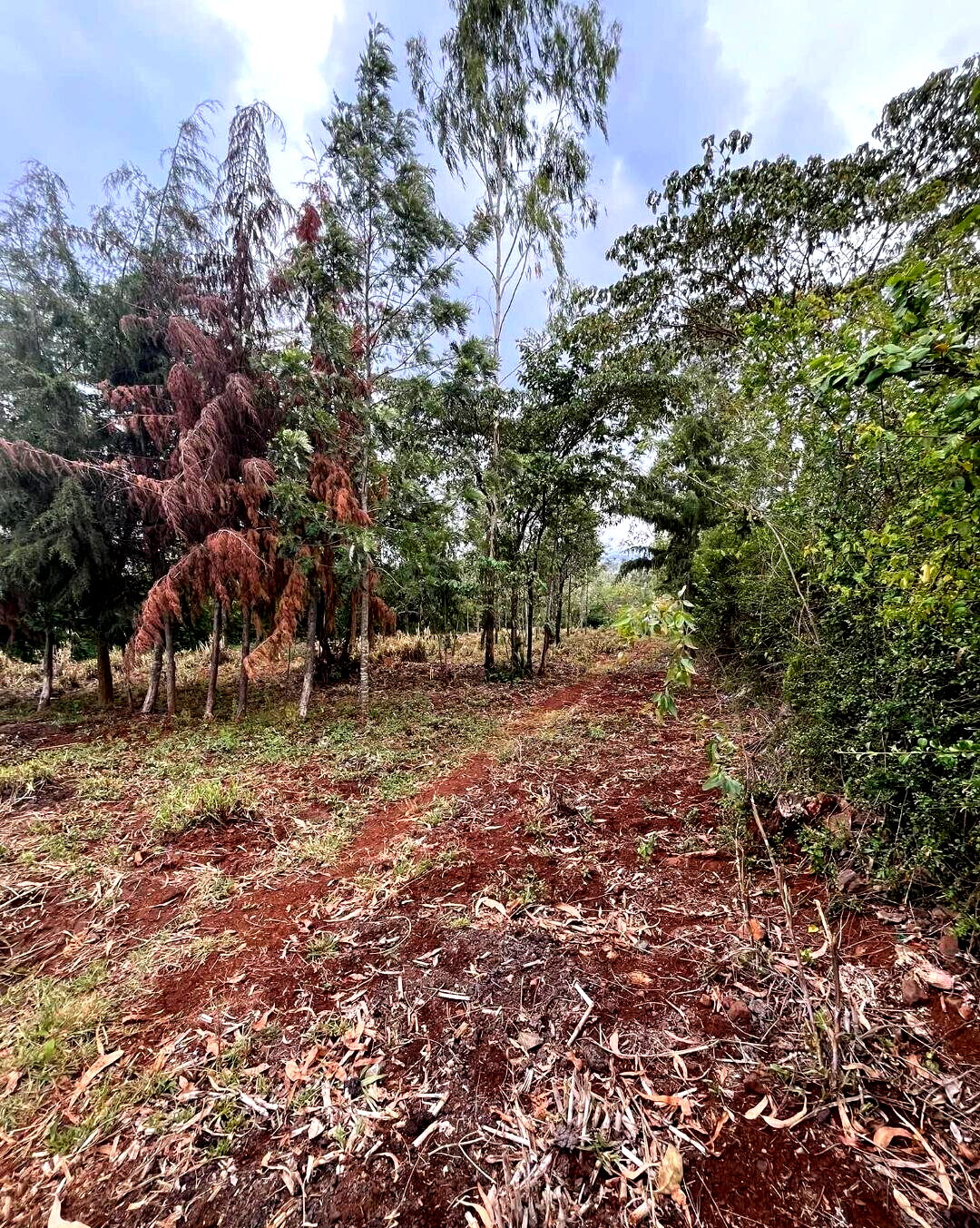 1-Acre Development Plot with Red Soil - Matasia, Ngong