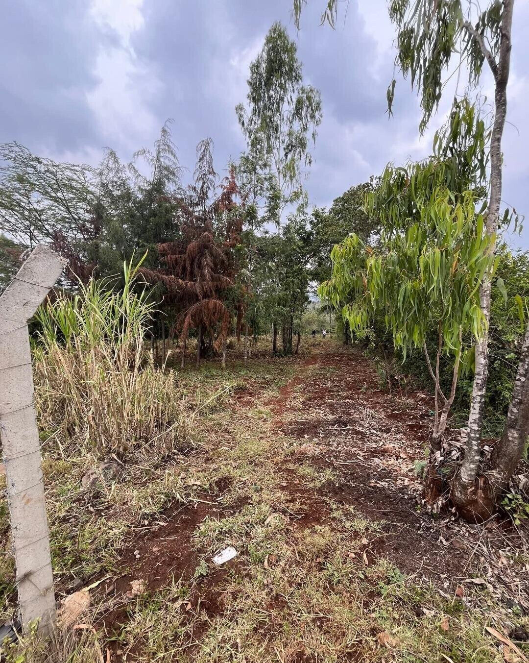 1-Acre Development Plot with Red Soil - Matasia, Ngong