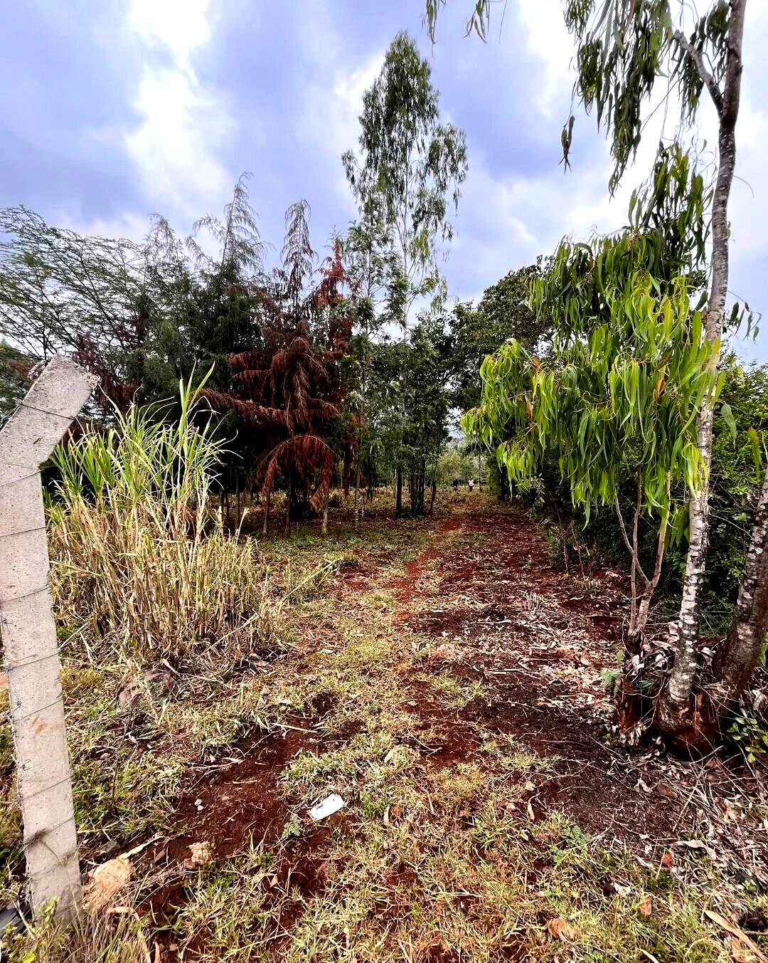 1-Acre Development Plot with Red Soil - Matasia, Ngong