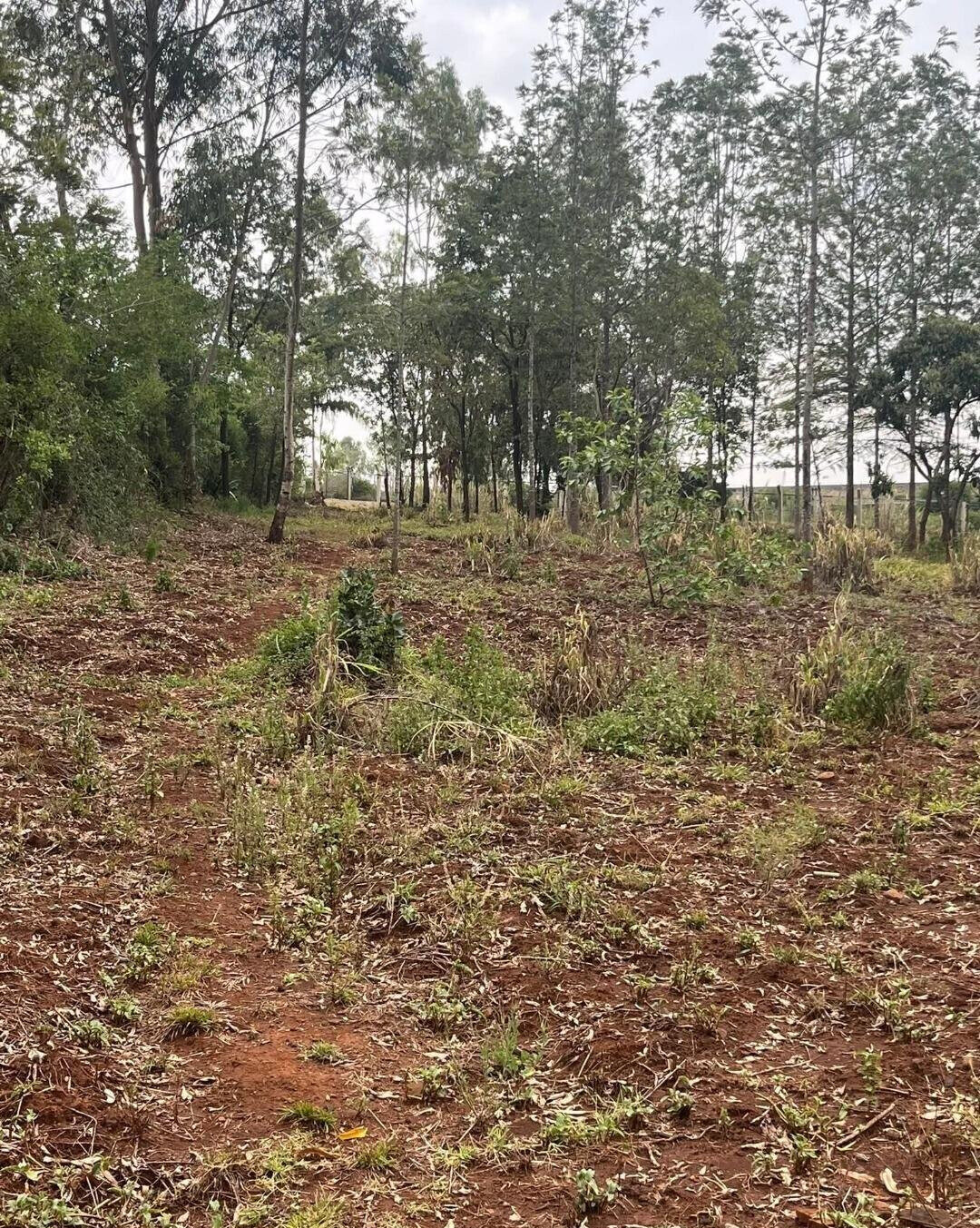 1-Acre Development Plot with Red Soil - Matasia, Ngong