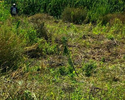 Land on Sale at Ihindu Naivasha - Image 2