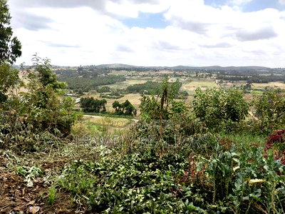 1.25 Acres With a 4-Bedroom Bungalow in Boroti Thigio Near Tarmac - Image 6