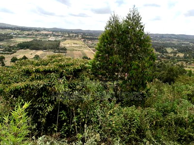 1.25 Acres With a 4-Bedroom Bungalow in Boroti Thigio Near Tarmac - Image 2