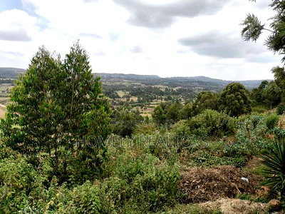 1.25 Acres With a 4-Bedroom Bungalow in Boroti Thigio Near Tarmac - Image 7