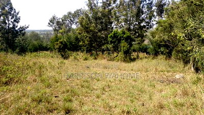 Quarter Acre Plot for Sale in Rongai, Kahuho. - Image 4