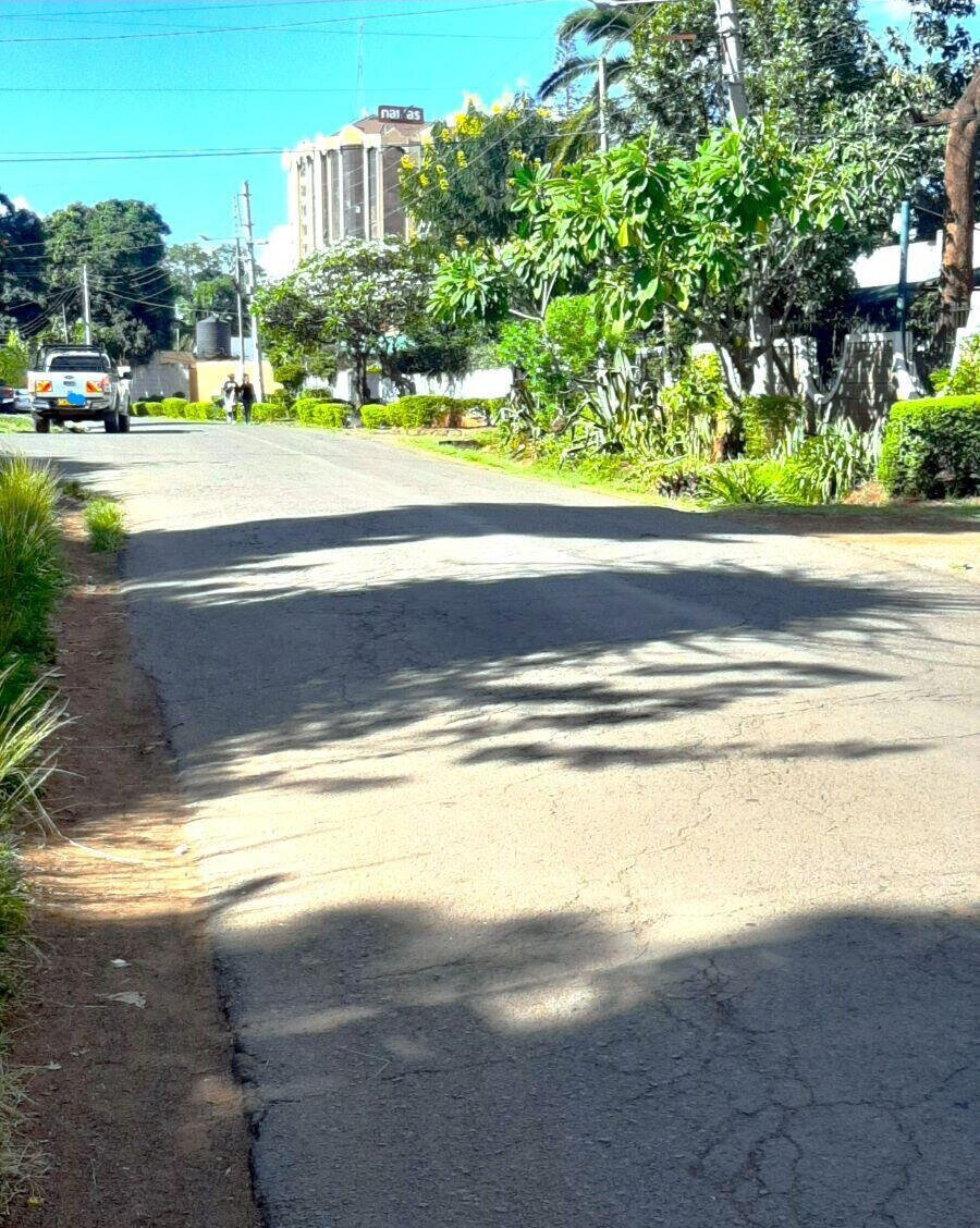 Quarter Acre Garden Plot in Thika CBD
