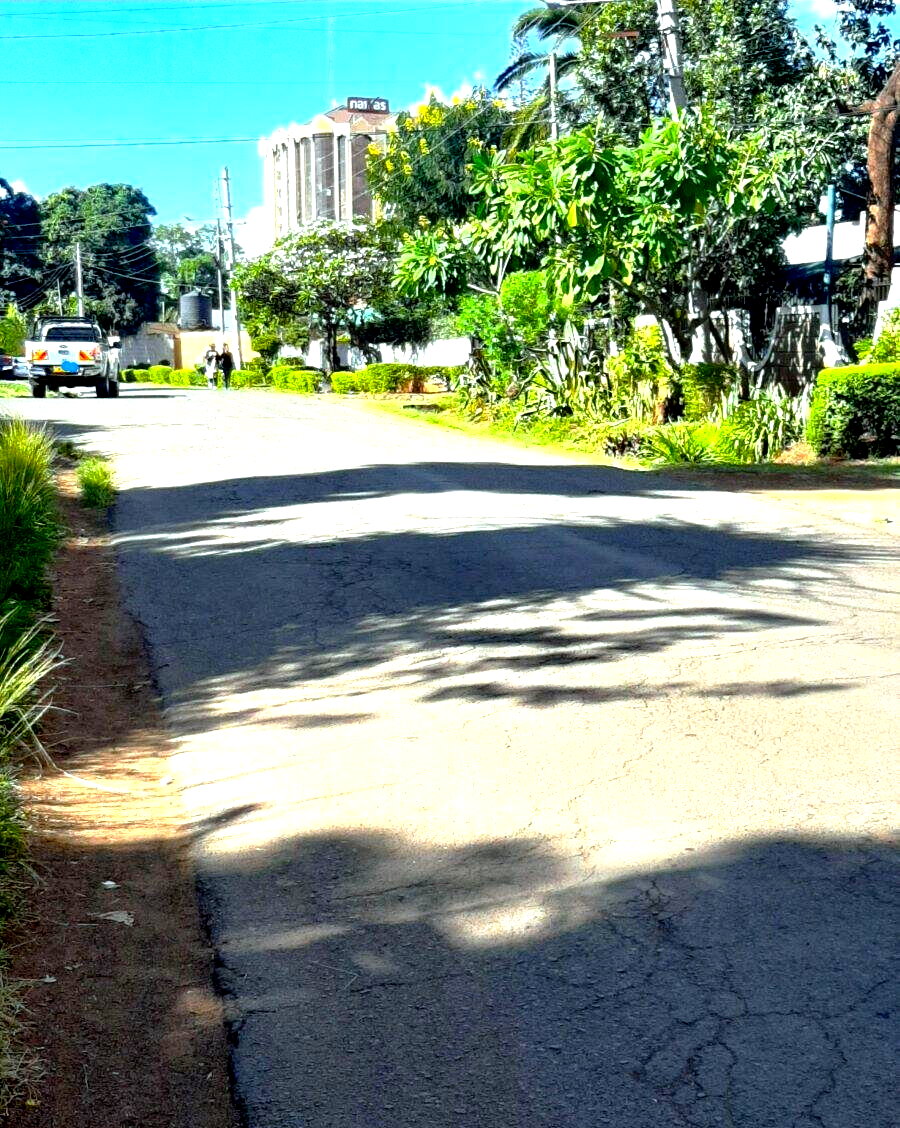 Quarter Acre Garden Plot in Thika CBD