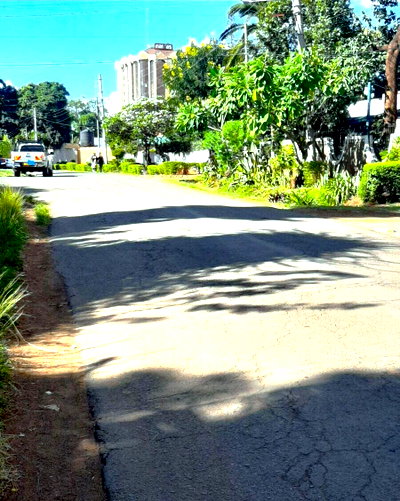 Quarter Acre Garden Plot in Thika CBD