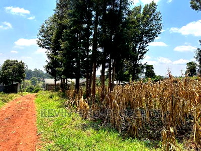 Commercial Plot for Sale in Kikuyu, Thogoto . - Image 9