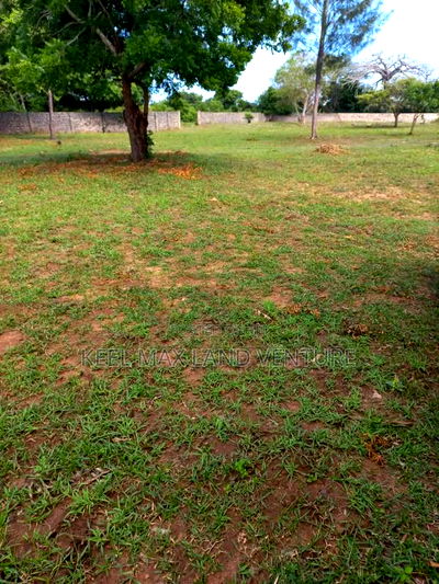 Diani Airport 1/4 Acre Plots - Image 3