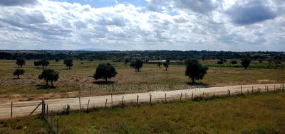 Value Added Plots in Kitengela, 4km From Highway - Image 2