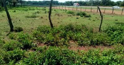3-Acre Commercial Land in Narok