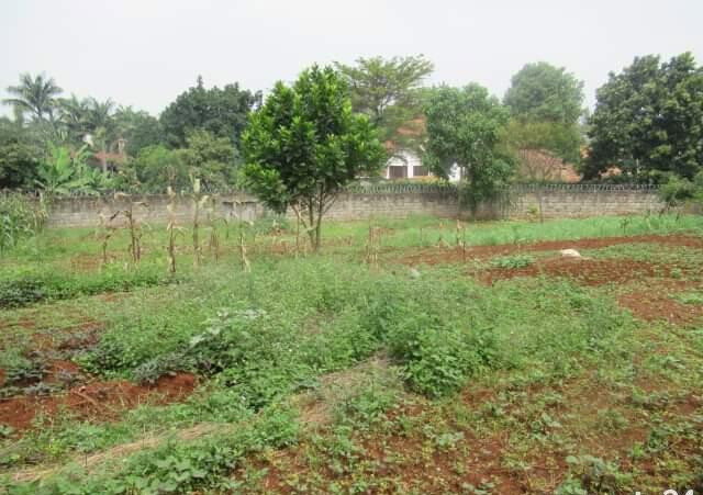 0.5 Acre Runda Plot at KSh 55M
