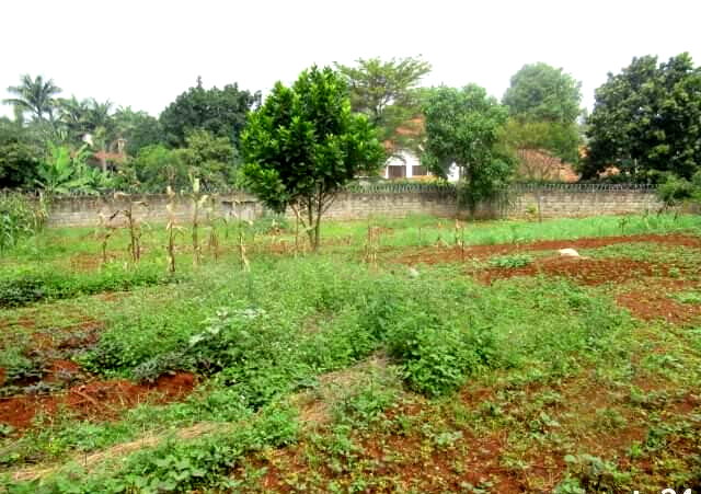 0.5 Acre Runda Plot at KSh 55M