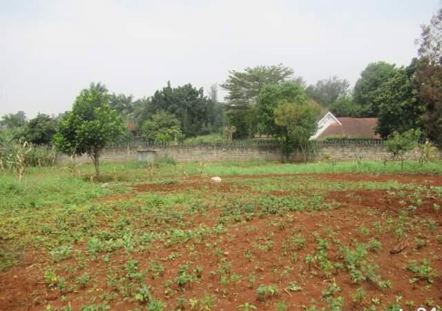 0.5 Acre Runda Plot at KSh 55M