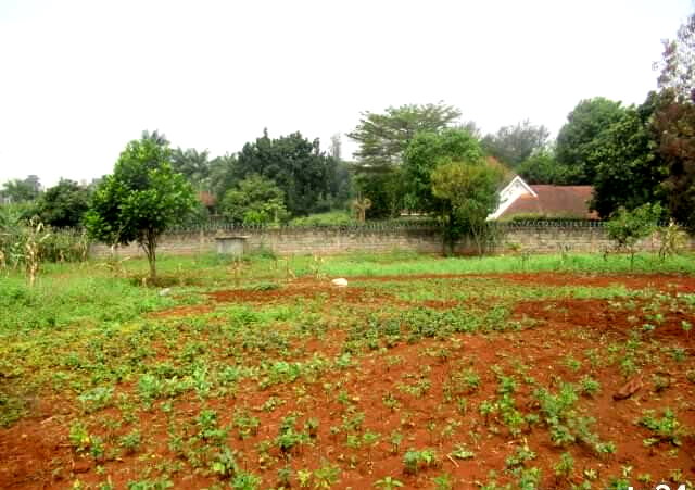 0.5 Acre Runda Plot at KSh 55M