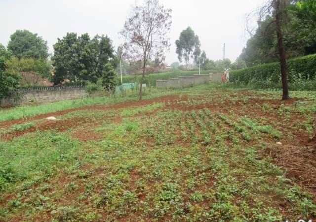 0.5 Acre Runda Plot at KSh 55M