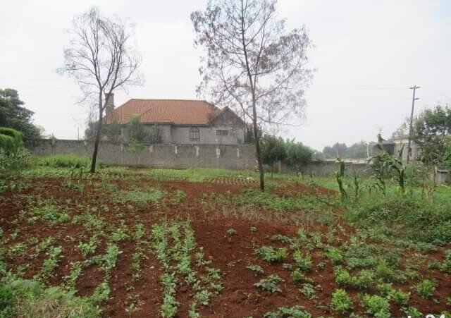 0.5 Acre Runda Plot at KSh 55M