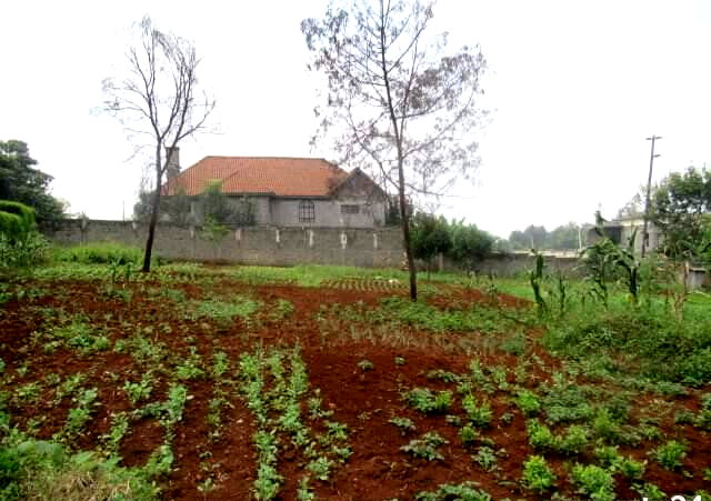 0.5 Acre Runda Plot at KSh 55M